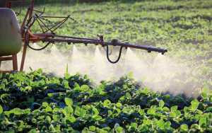 Як уникнути помилок під час закупівлі та застосування пестицидів