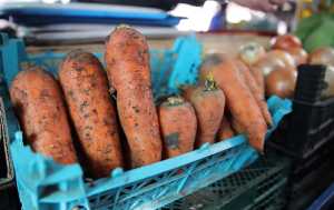 В Україні продовжує дешевшати морква