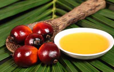 Кожен третій кілограм олії, який споживають у світі – пальмова