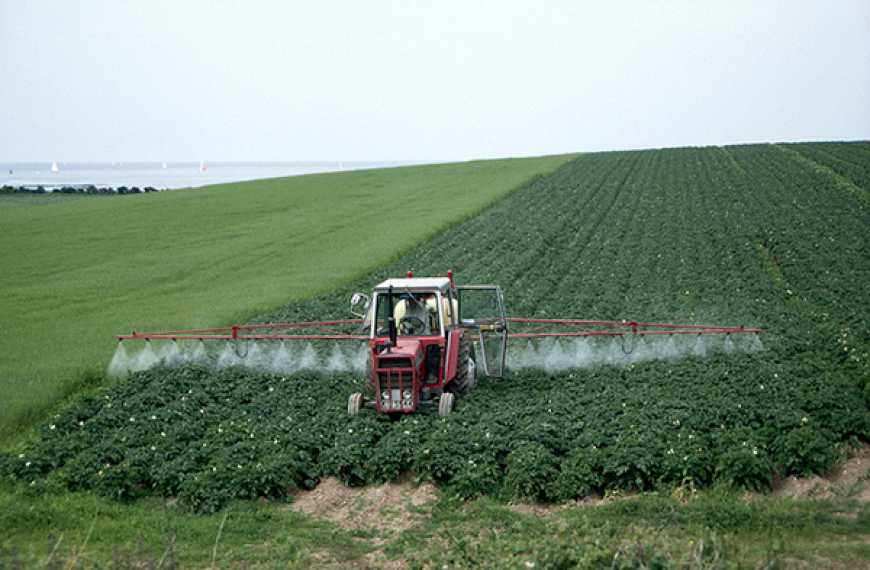 Україна може перетворитися на територію пестицидних експериментів