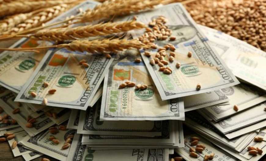 На експорт відправлено перший мільйон тонн українського зерна