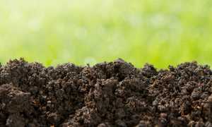 Переваги й недоліки способів визначення гранулометричного складу ґрунту