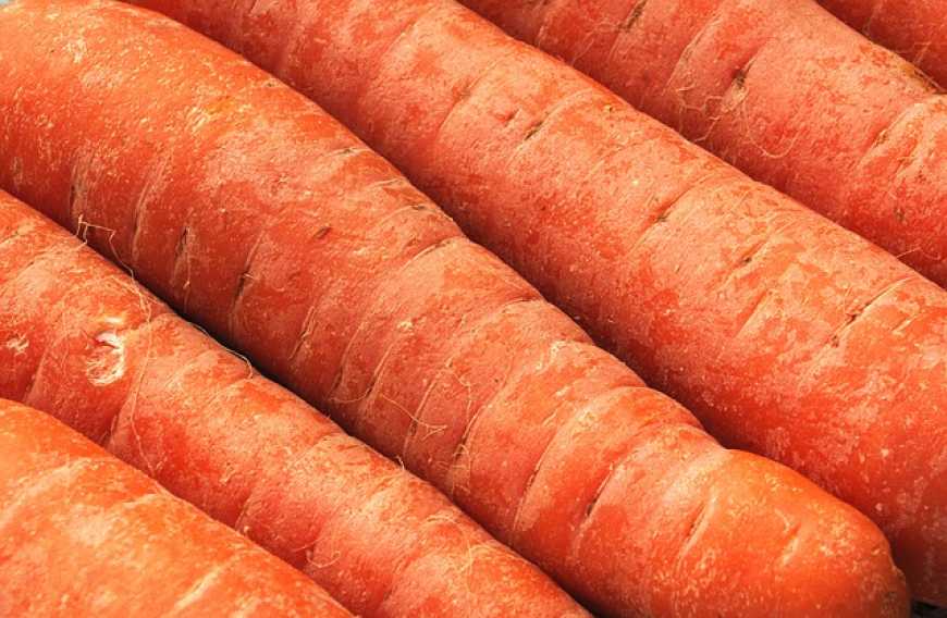 В Україні продовжують рости ціни на моркву