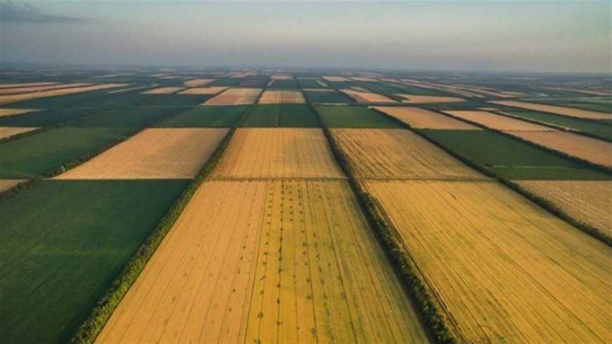 Експерт вважає, що в Україні потрібно створить держсайт з наявністю інформації про пайові землі, що продаються