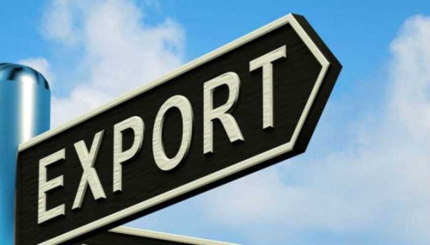 Аграрії Сумщини почала експорт продукції до Гонконгу, Алжиру та Пакистану