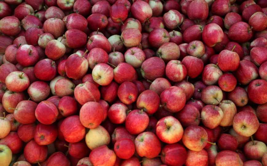 Яблука в Україні за рік подорожчали на 85%
