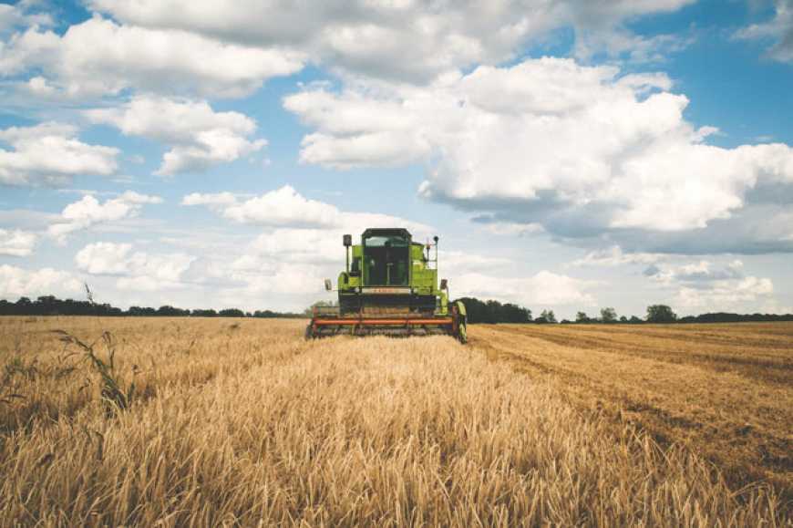 Жнива-2020: аграрії України вже зібрали майже 27 млн тонн зерна