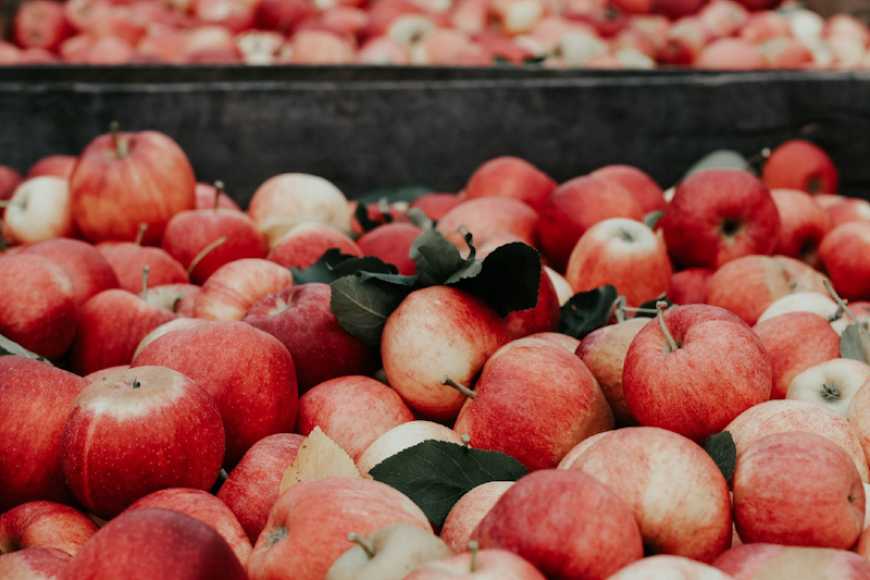 Яблука в Україні подорожчають втричі та поб&#039;ють цінові рекорди, – експерти