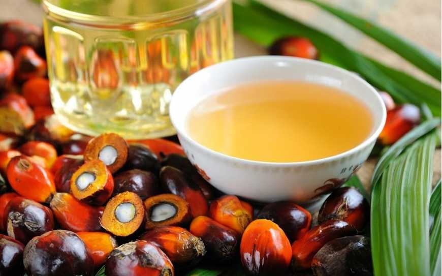 Рада підтримала законопроект про заборону пальмової олії у харчових продуктах