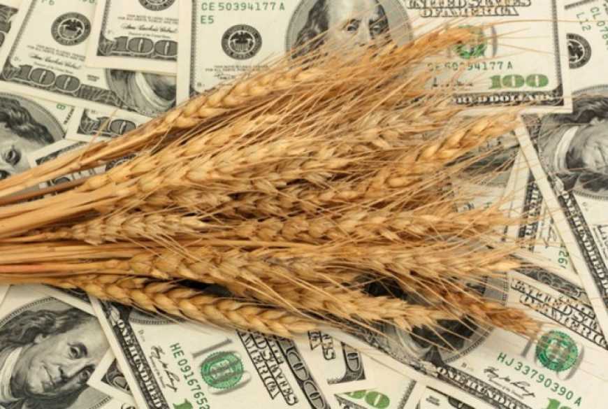 Цьогоріч Україна експортує близько 41 мільйона тонн зерна