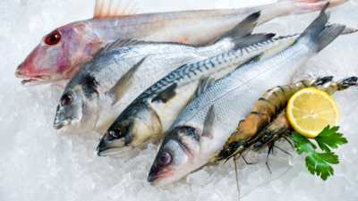 В Україні проводять аудит рибної продукції, яка експортується до ЄС