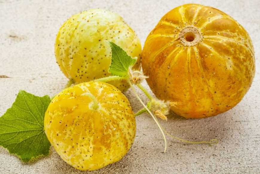 Лимонний огірок – смачний овоч для екзотичного саду