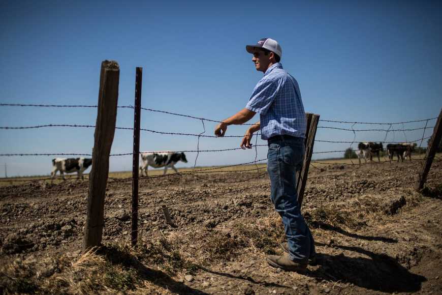 В закон про ринок землі не закладено механізм підтримки сімейного фермерства, – Микола Стрижак
