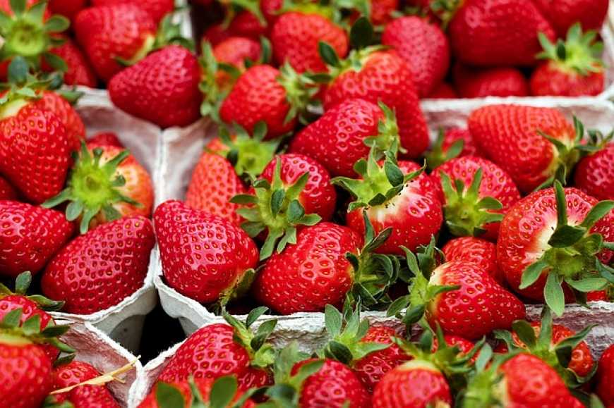 Торік в Україні вироблено понад 138 тис. тонн ягоди