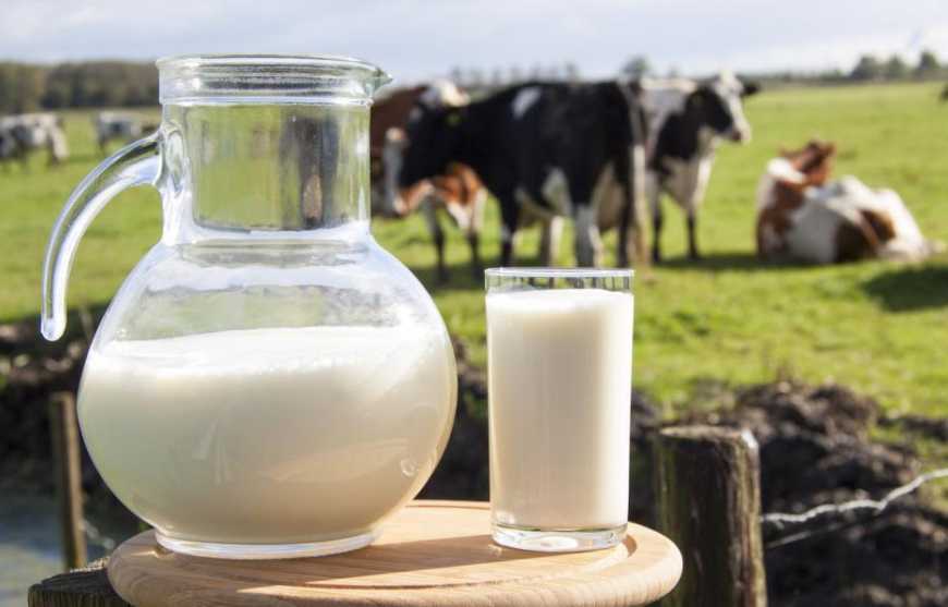 Ціни на молоко знову знизились, – АВМ