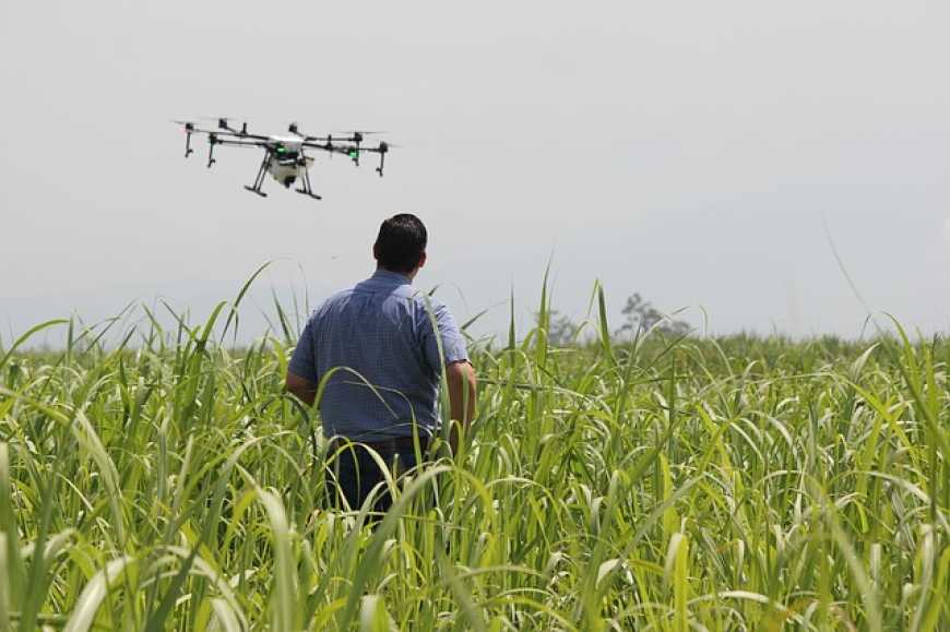 В Україні хочуть законодавчо врегулювати використання дронів у сільському господарстві