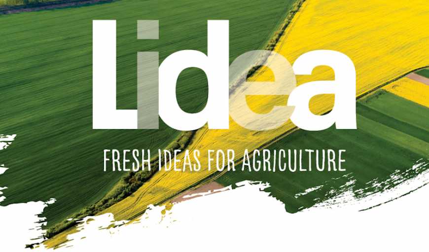 Lidea виводить на глобальний ринок два комерційні бренди: Lidea та Caussade Semences Pro