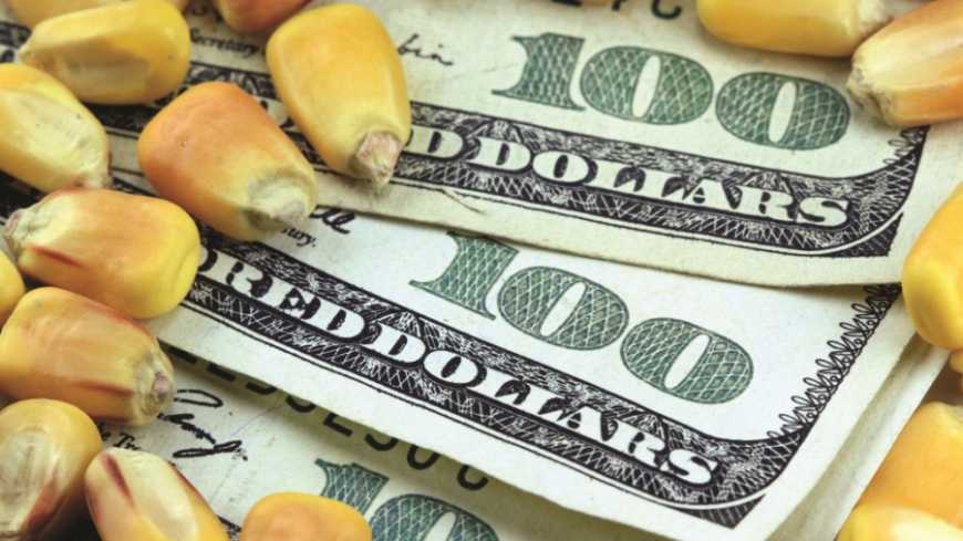 Падіння ринків сої та пшениці знижує ціни на кукурудзу