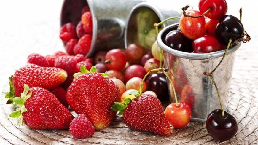 Україна має якнайшвидше узгодити фітосанітарні норми для експорту ягід та фруктів