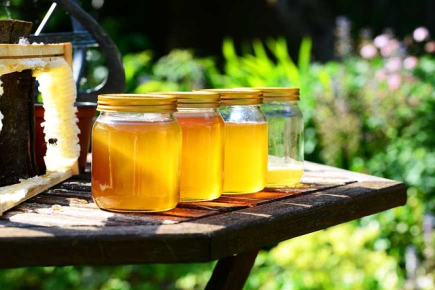 Український мед стали менше купувати за кордоном