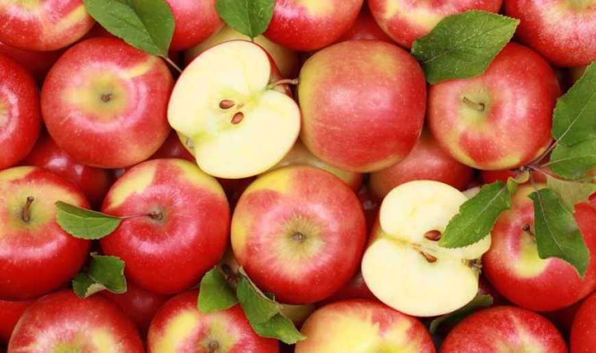 Експерти прогнозують зростання цін на яблука нового врожаю