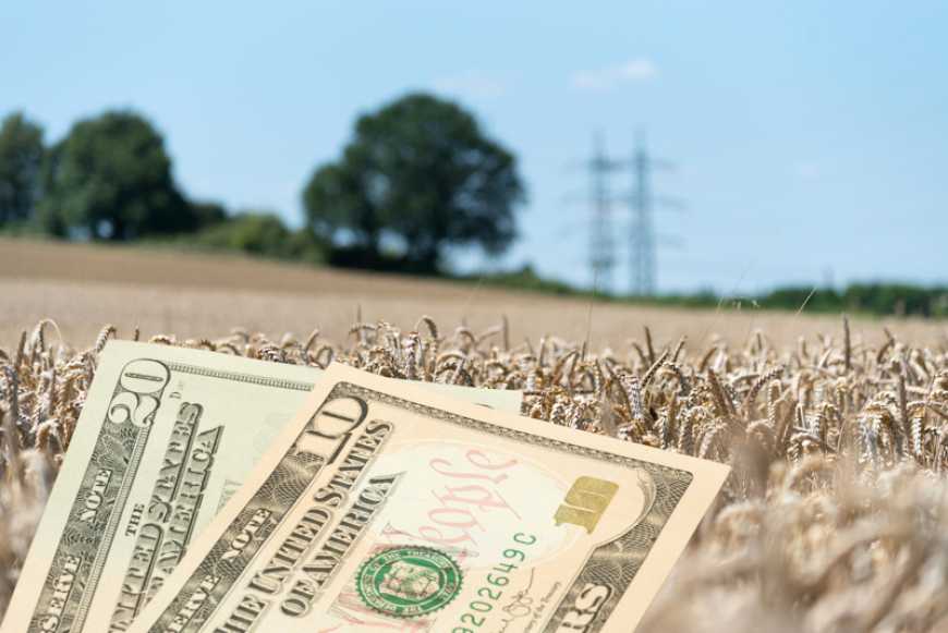Аграрна іпотека: фермери, банки й держава у пошуках спільного знаменника
