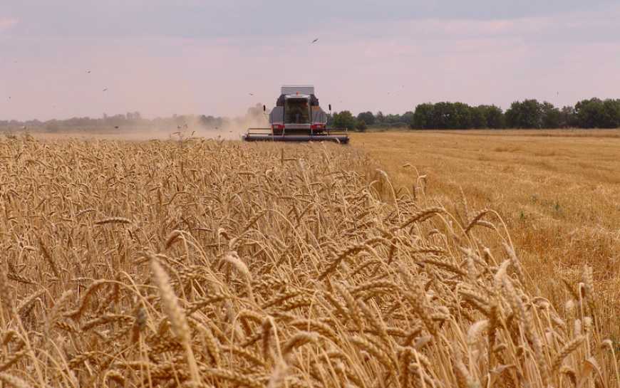 Жнива-2021: в Україні намолочено перший мільйон тонн зерна нового врожаю