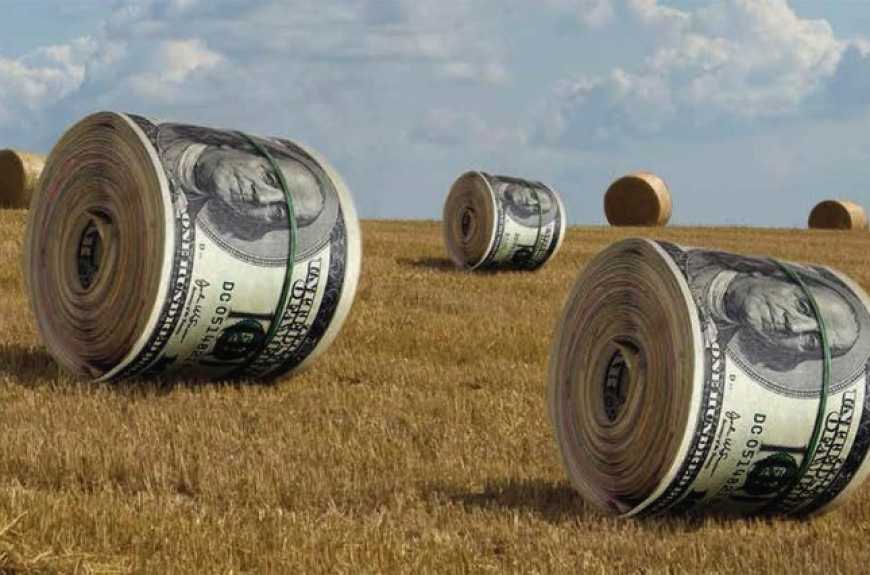 В Україні середня вартість землі в жовтні зросла до майже 44 тисяч гривень за гектар