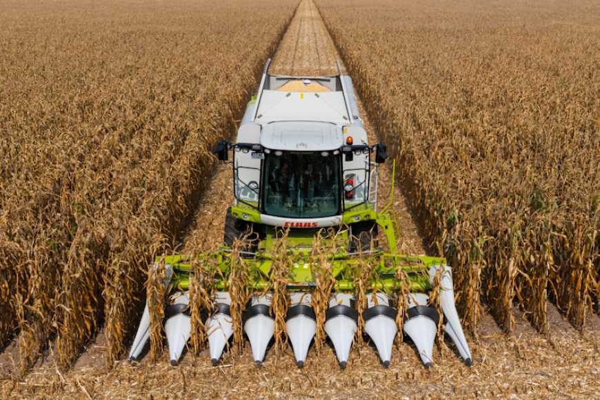 Жнива-2021: аграрії України вже зібрали понад 56 млн тонн зерна
