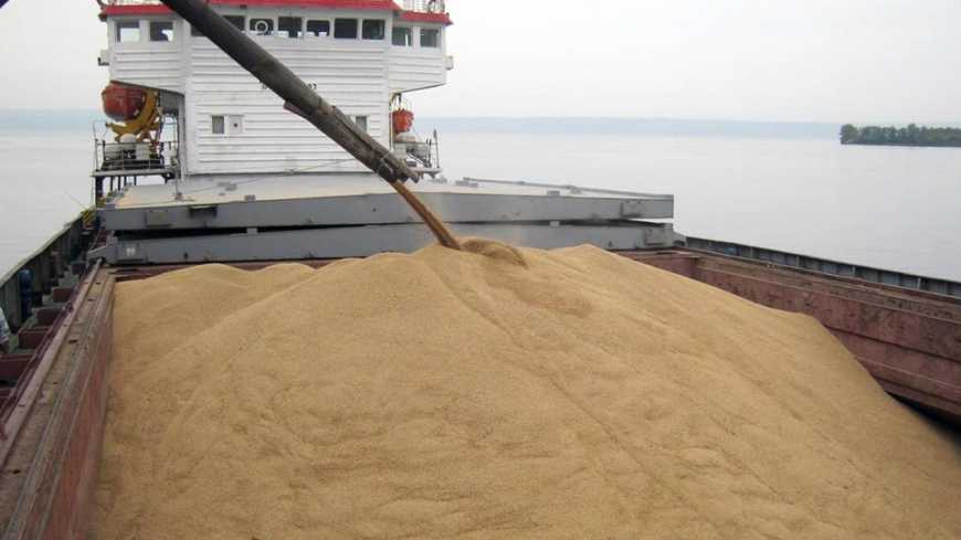 Словаччина готова транспортувати українське зерно через порт Братислава