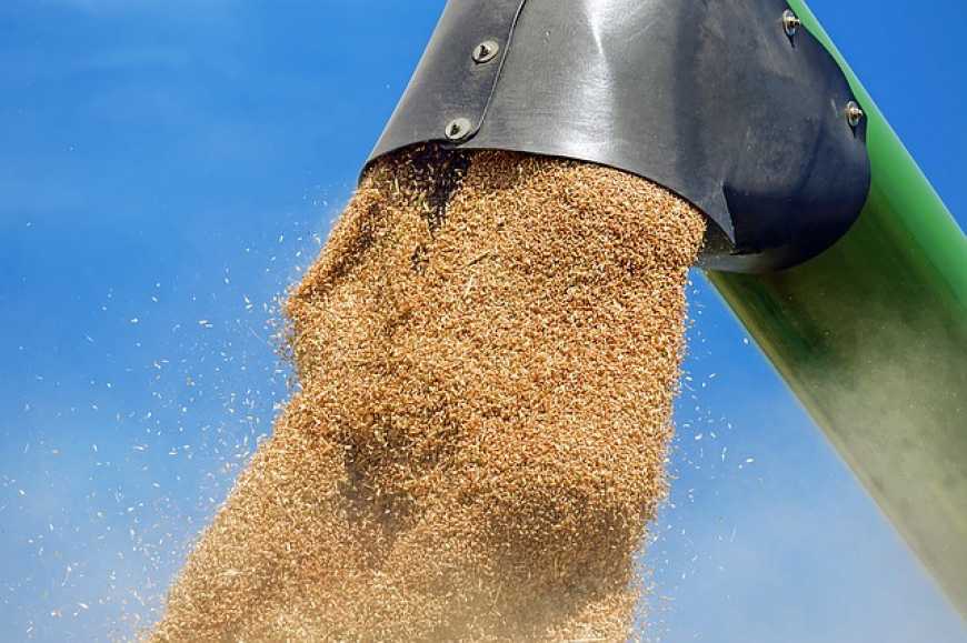 Україна на 20% збільшила постачання зерна до Китаю