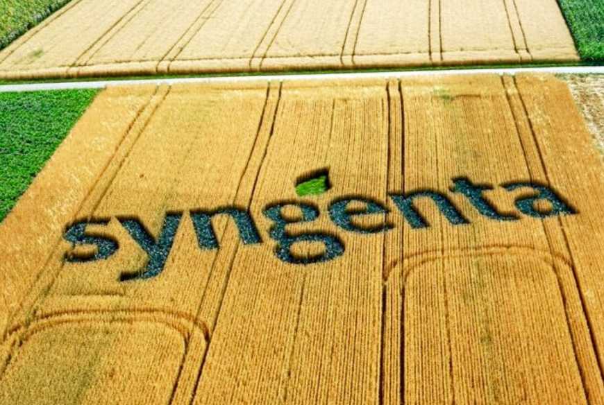 Syngenta готова інвестувати $1,25 млн у технології для підтримки майбутнього виробництва рослинних білків