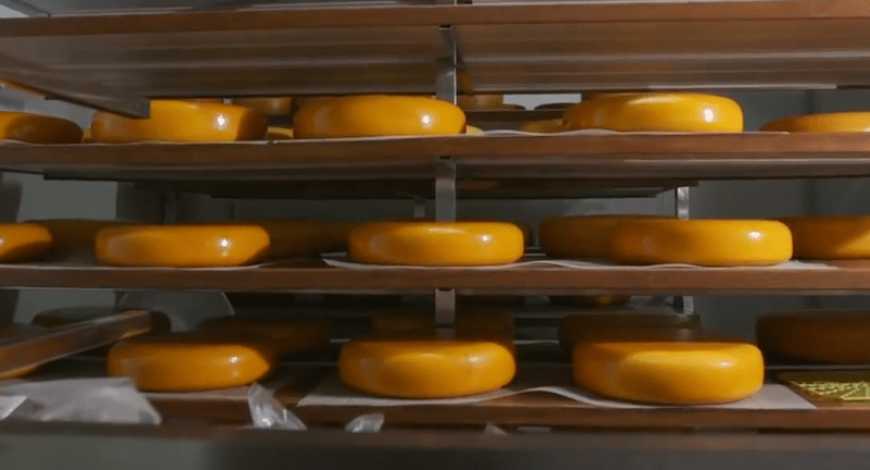 Новий цех з виробництва сиру відкрили на Сумщині
