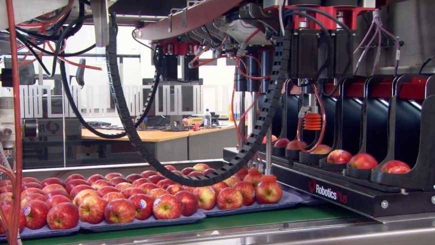 Машини для доробки овочів і фруктів