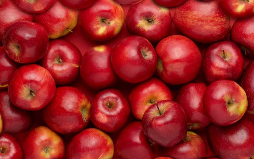 Які сорти яблук та груш найбільше вирощуються в Україні