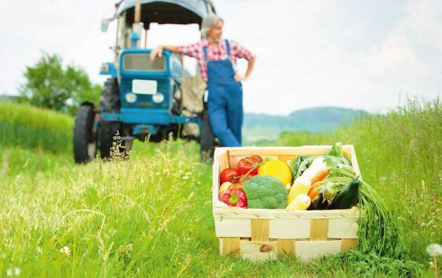 Україна стала більше експортувати органічної продукції на західні ринки