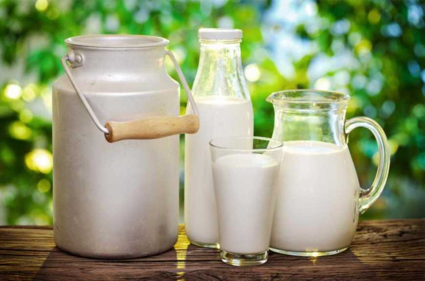 Через нові вимоги в Україні зростає виробництво молока «екстра» ґатунку