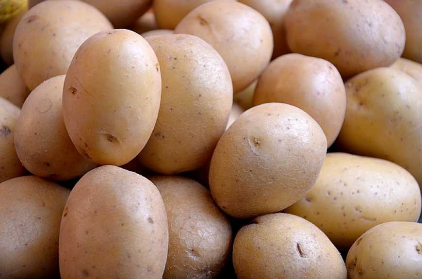 Ціни на картоплю на 25% нижчі за торішні