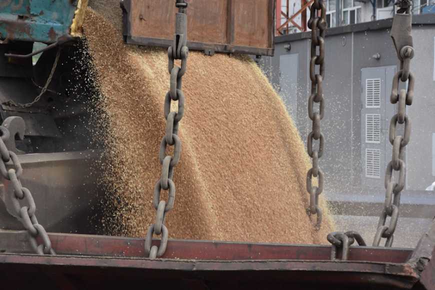 Партія пшениці нового врожаю відправлена з Маріупольського морпорту до Італії