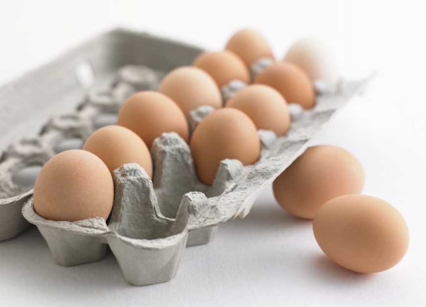 Україна експортуватиме яйця та яєчні продукти до Македонії