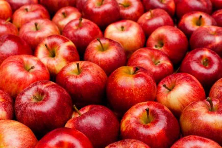 Україна в 2018 експортувала 4,3 тис. тонн яблук