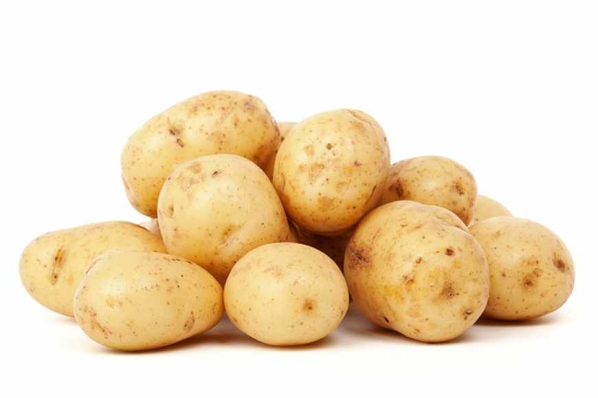 Вже за тиждень картопля в Україні почне дешевшати - прогноз