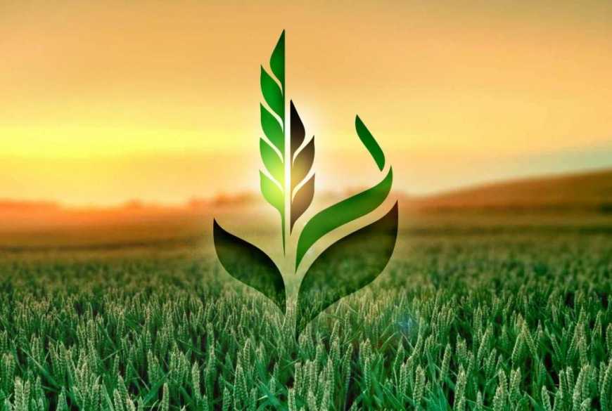 «Аграрний фонд» розпочав відбір компаній-перевізників для співпраці у 2020/21 МР