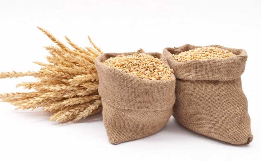 В Україні запаси зерна складають близько 20 млн тонн