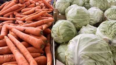 Ринок овочів: в Україні знижуються ціни на капусту і моркву
