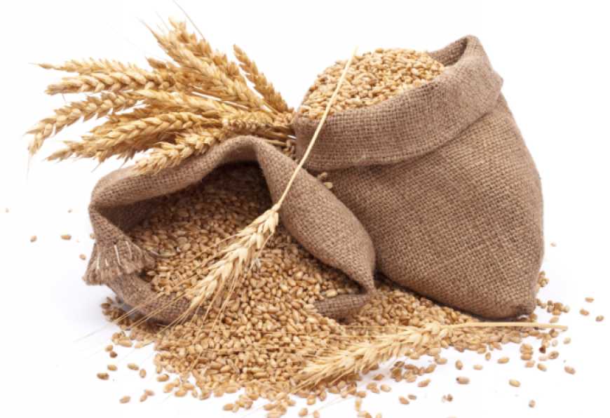 Аграрії зменшили експорт зерна
