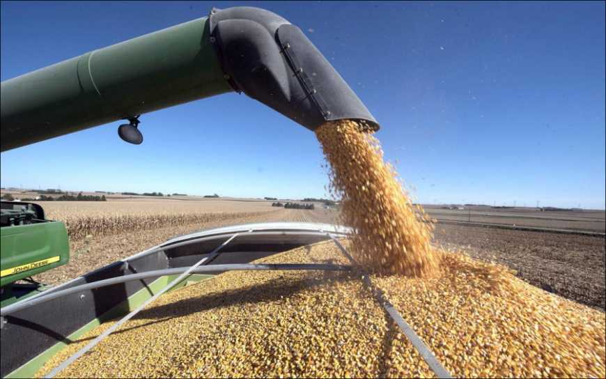 Мінекономіки озвучило прогноз урожаю зернових та олійних на 2021 рік