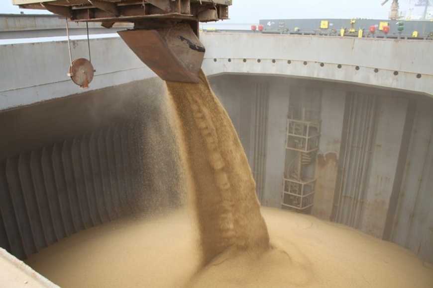 Експерт прокоментував, як конфлікт на Азові вплине на експорт зерна