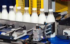 Експорт «молочки»: виклики і загрози