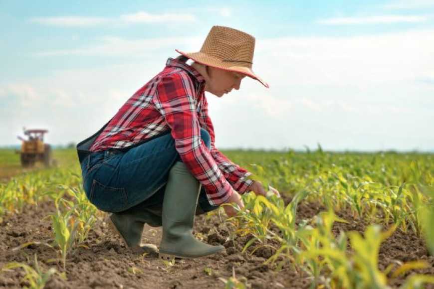 Канада допоможе аграріям Луганщини створювати мультифункціональні кооперативи